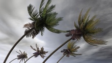 Damage Control: Major Rebuilds After Major Weather Events